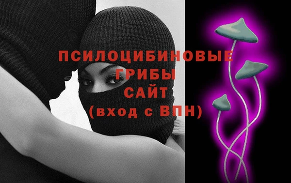скорость Елизово
