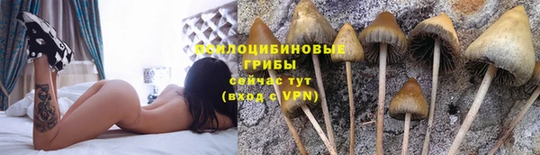 мефедрон мука Ельня